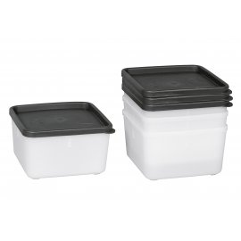 Gefrierdosen Set quadratisch my basics