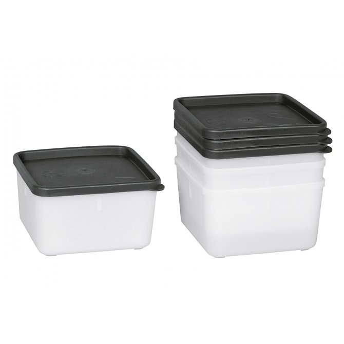 Gefrierdosen Set quadratisch my basics