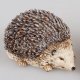 Igel 15cm Naturfarben