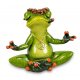 Frosch in Schneidersitz Yoga