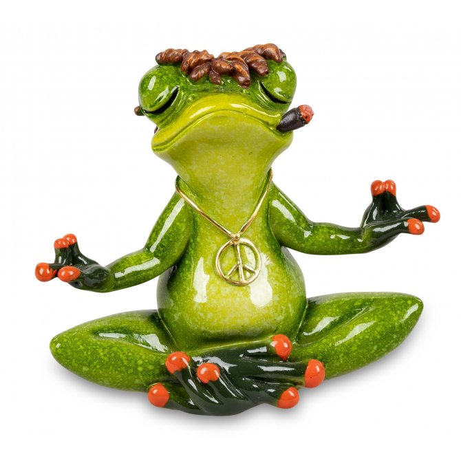 Frosch in Schneidersitz Yoga
