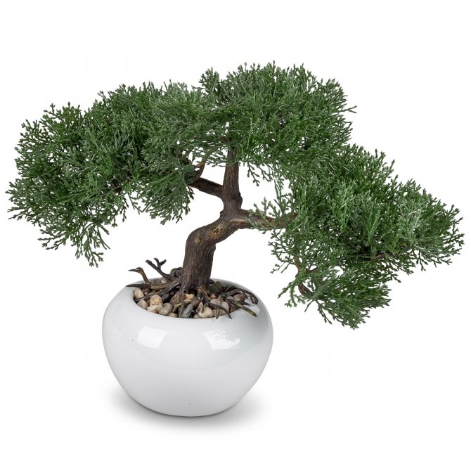 Kunstbaum Bonsai im Topf 18cm