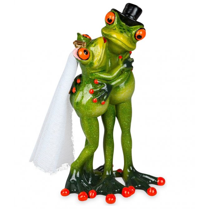 Frosch Brautpaar