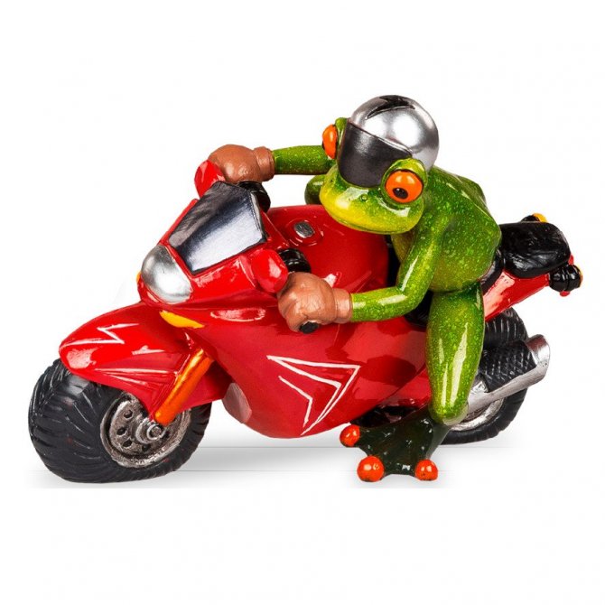 Frosch mit rotem Motorrad