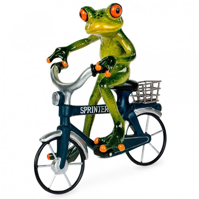 Frosch auf Fahrrad