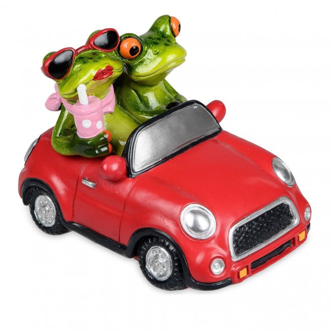 Froschpaar im Auto