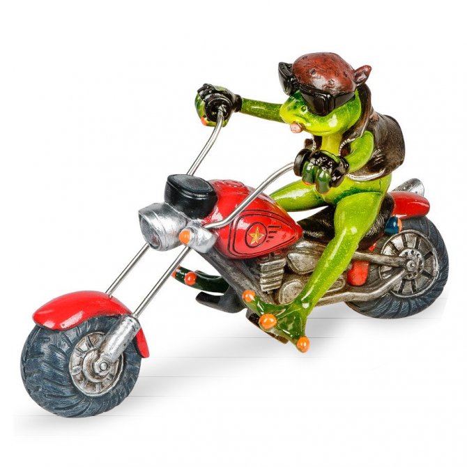 Frosch Biker mit rotem Motorrad