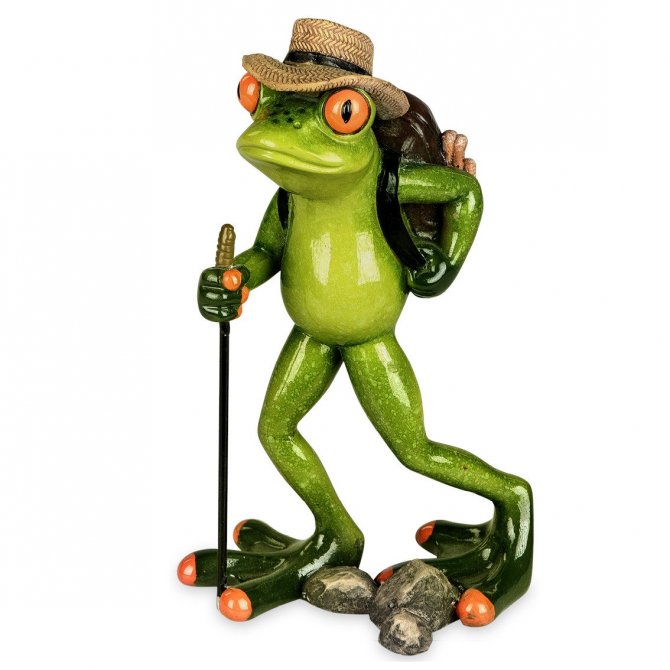 Frosch Wanderer