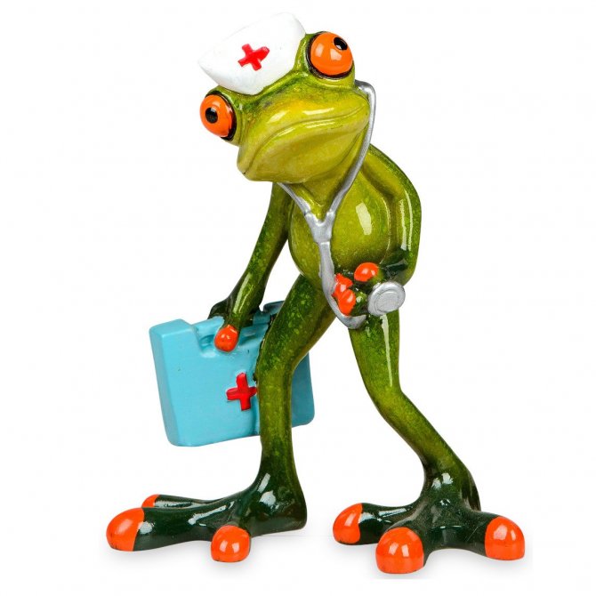 Frosch Arzt