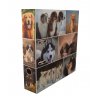 Motiv-Ordner A4 Hunde