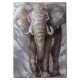Wandbild 50x70cm Elefant