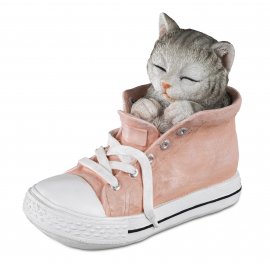 Katze im Schuh