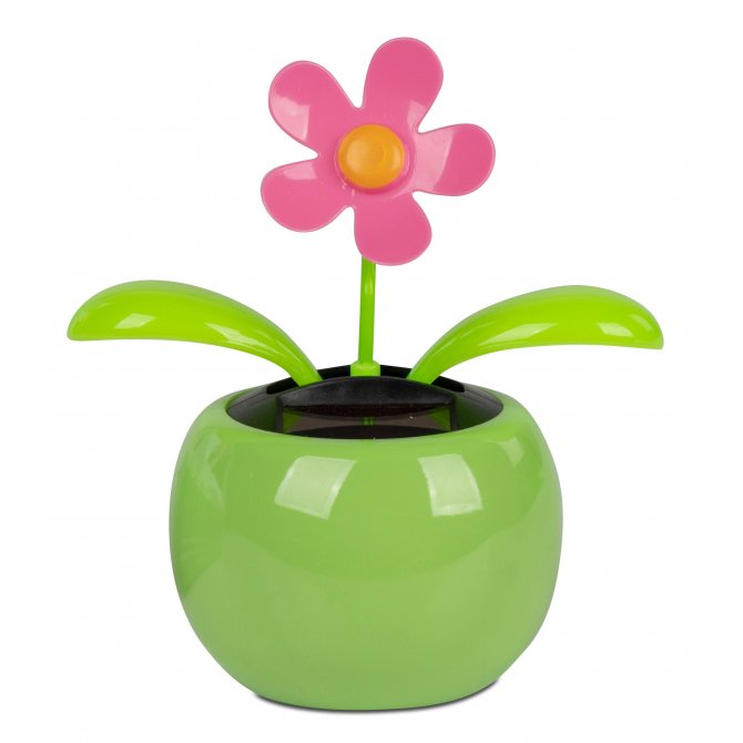 Wackel-Blume im Topf