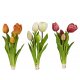 Tulpenbündel 24cm