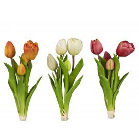Tulpenbündel 24cm