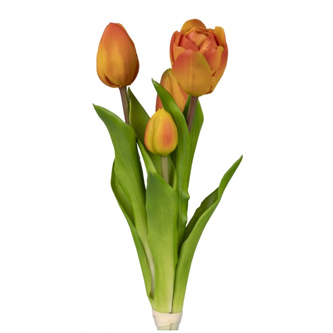 Tulpenbündel 24cm