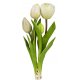 Tulpenbündel 24cm