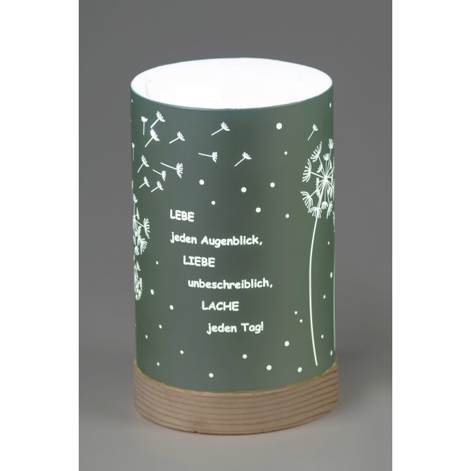 Deko-Licht grün 15cm - Lebe jeden Augenblick