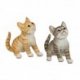 Katze 20cm hoch schauend Natur