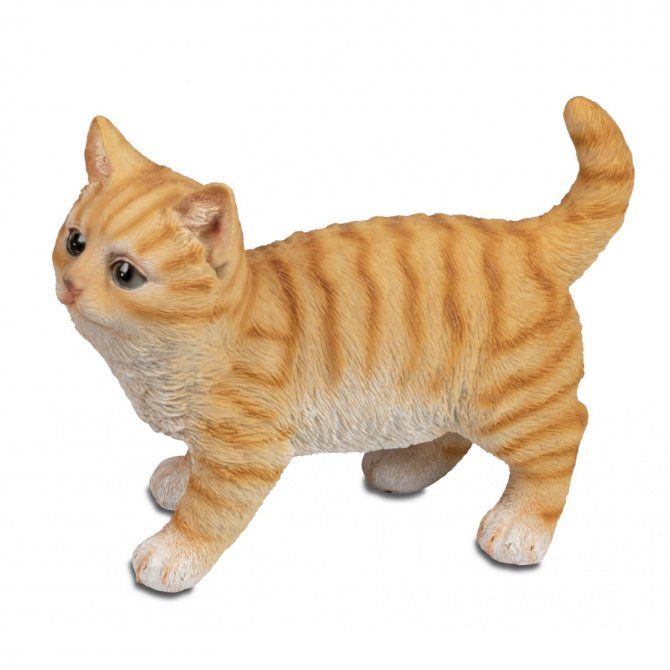 Katze 20cm stehend Natur