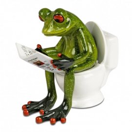 Frosch auf Toilette mit Zeitung