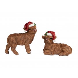 Hochland-Rind mit Weihnachtsmütze