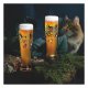 Tierisch glücklich Weizenbier 2er Set 1 und 2