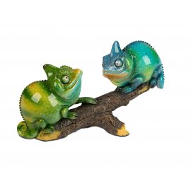 Chamäleon Fritzi Paar auf Ast