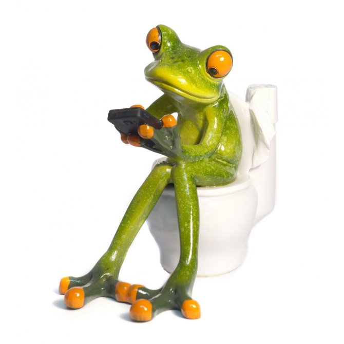 Frosch auf Toilette