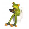 Frosch auf Toilette