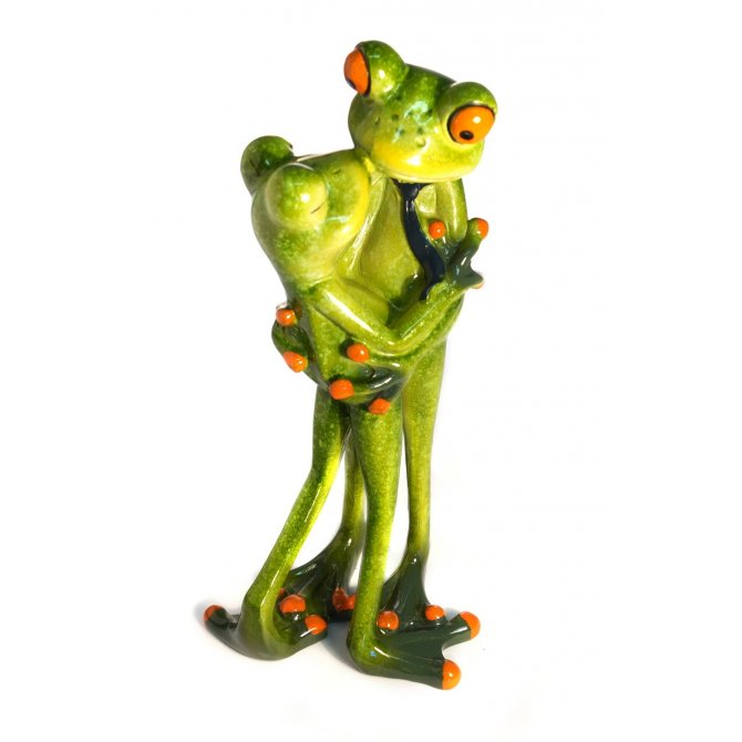 Frosch Paar küssend im Stehen