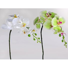 Orchidee 82cm