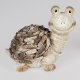 Schildkröte creme-braun